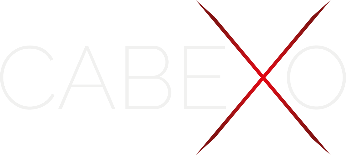 Fichier 1logo blanc sans fond